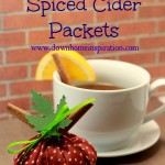 Cranberry Spiced Cider Packets