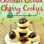 Chocolate Covered Cherry Cookies