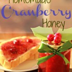 Homemade Cranberry Honey