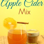 DIY Apple Cider Mix