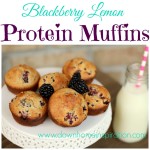 Blackberry Lemon Protein Muffins