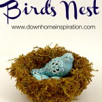 $2 DIY Bird’s Nest