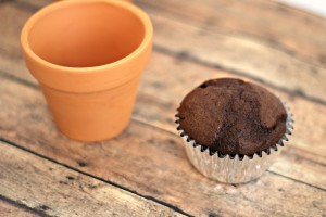 flowerpot-dirt-cupcakes-3