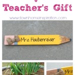 Perfect Teacher’s Gift