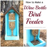 How to Make a Wine Bottle Bird Feeder