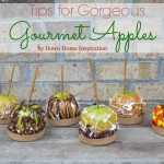 Tips for Gorgeous Gourmet Apples – Learn From my Mistakes, People!