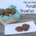 Paleo and Gluten Free Pumpkin Breakfast Cookies