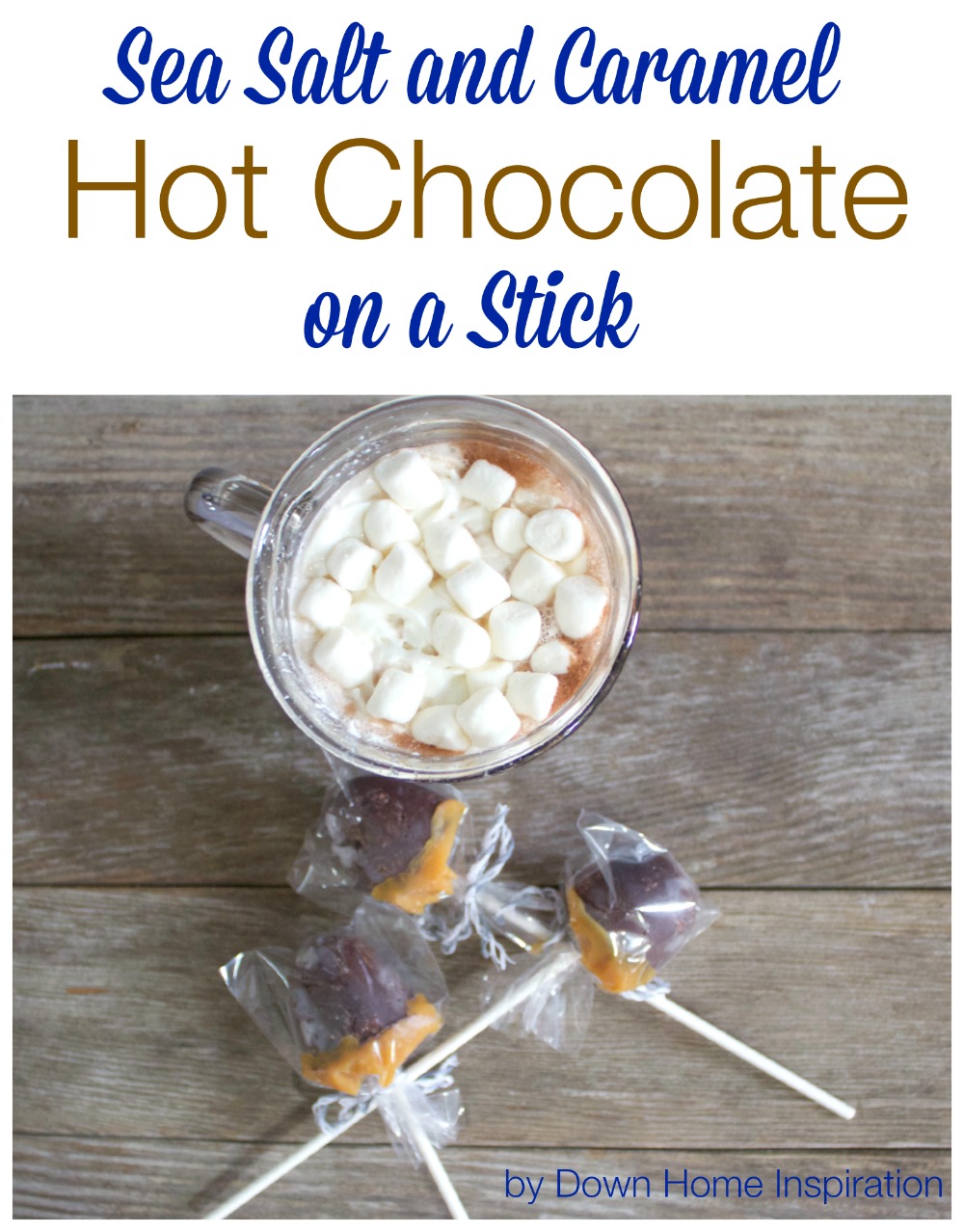 hot-chocolate-on-a-stick-1