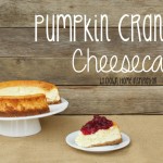 Pumpkin Cranberry Cheesecake