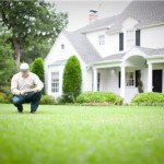 Winter Lawn Care Tips