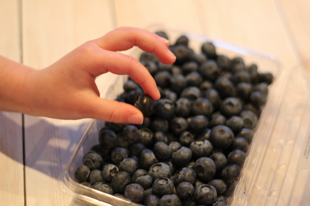 blueberries-1