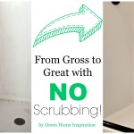 From Gross to Great with NO Scrubbing