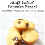 Pan-muffins?  Muff-cakes?  Pancake Bites?  Who Cares What They are Called, They are Delicious!