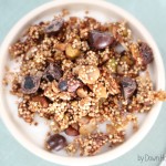 Chocolate, Cranberry, Pistachio, Quinoa Granola