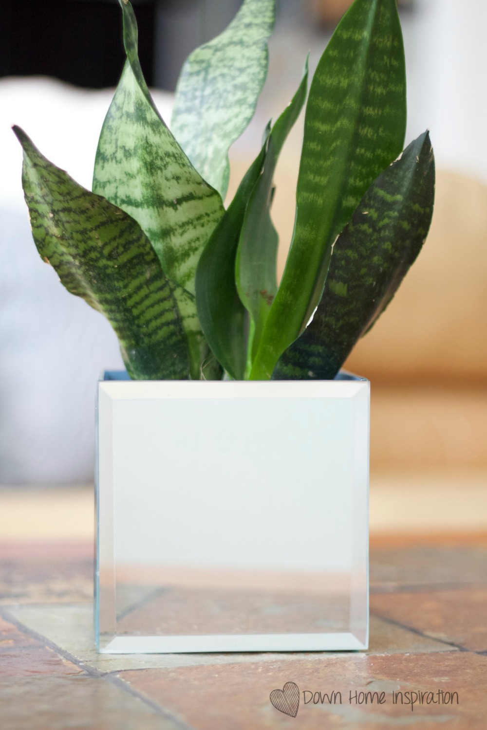 mirror-planter-1